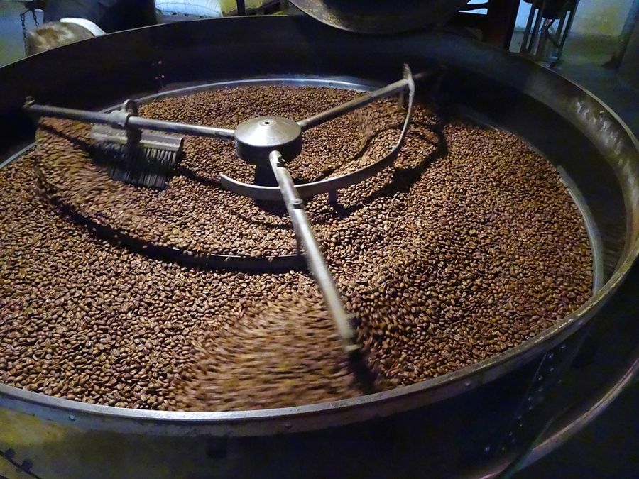 Grains de café dans le tambour du torréfacteur